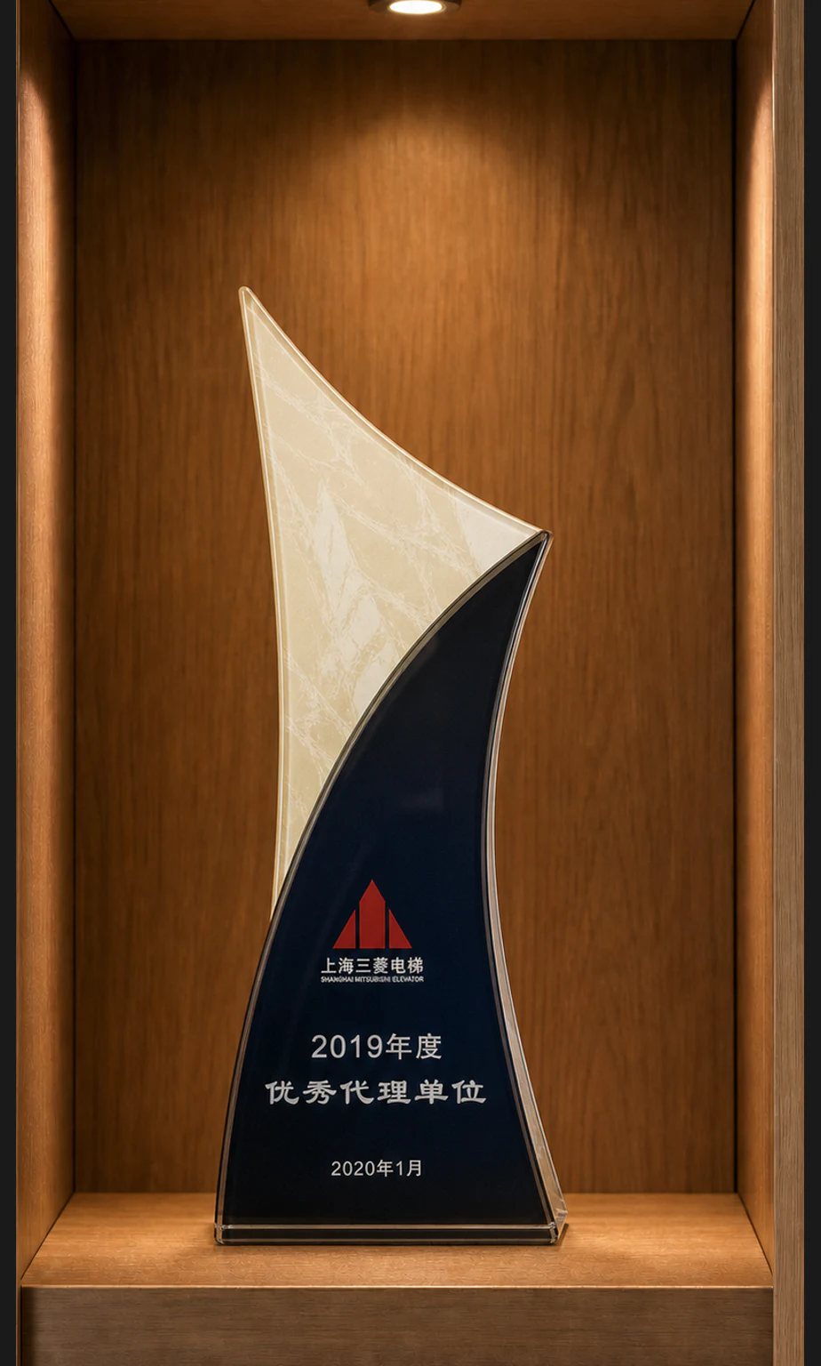 2019优秀代理单位奖杯